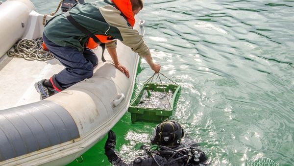 На месте будущего Керченского моста исследуют керамическое поле