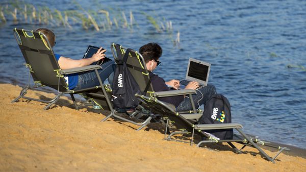 Люди работают на удаленке