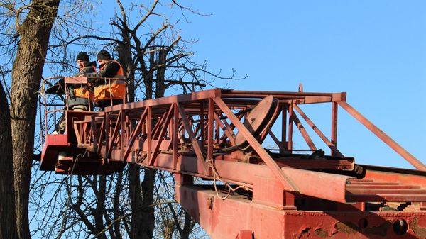 Обрезка деревьев в Симферополе