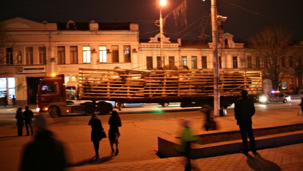 Ель от самого Деда Мороза прибыла в Симферополь Ель от самого Деда Мороза прибыла в Симферополь