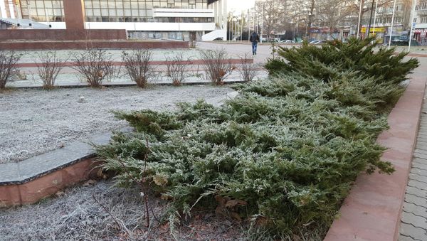 Заморозки в Крыму