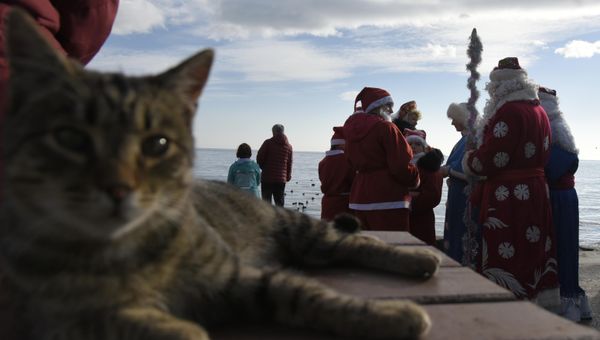 В Ялте прошел традиционный предновогодний Мороз-парад В Ялте прошел традиционный предновогодний Мороз-парад
