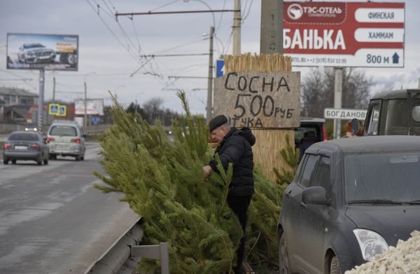 Новогодняя елка в Крыму: цена вопроса