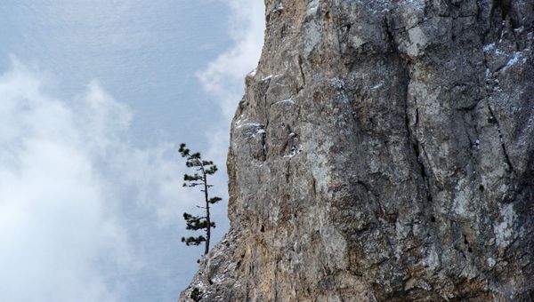 Зима в Крыму