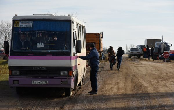 Очаг эпидемии АЧС, с. Новоселовка Раздольненского района