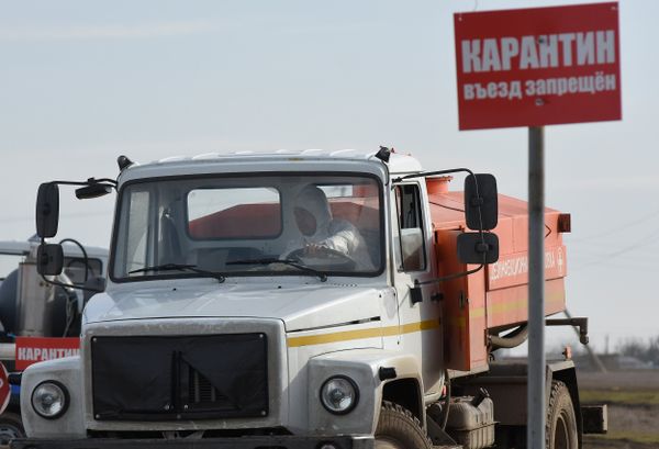 Очаг эпидемии АЧС, с. Новоселовка Раздольненского района