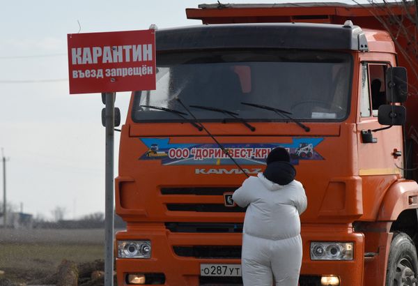 Очаг эпидемии АЧС, с. Новоселовка Раздольненского района