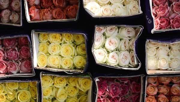 Продажа цветов в преддверии праздника 8 марта