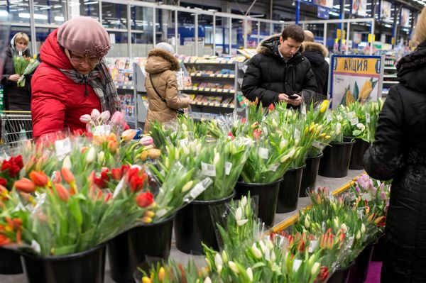 Продажа цветов к празднику 8 марта Продажа цветов к празднику 8 марта