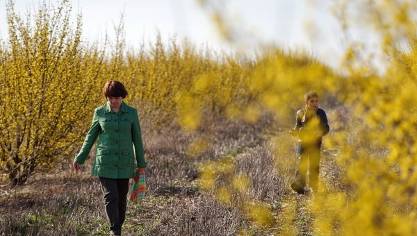 Повседневная жизнь