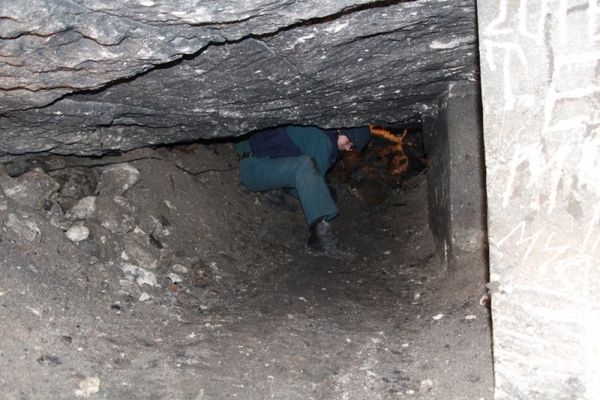 Пиротехники обезвредили 16 авиабомб из Багеровских каменоломен Керчи