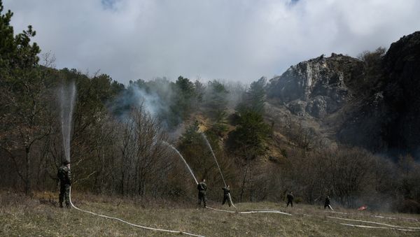 Тренировка МЧС по тушению лесного пожара