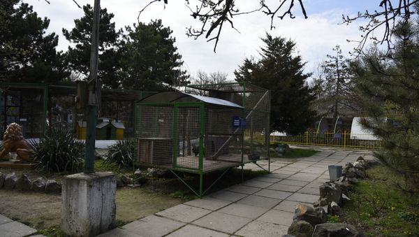 Зоопарк в детском парке Симферополя Зоопарк в детском парке Симферополя