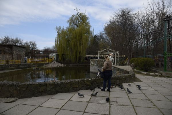 Зоопарк в детском парк Симферополя