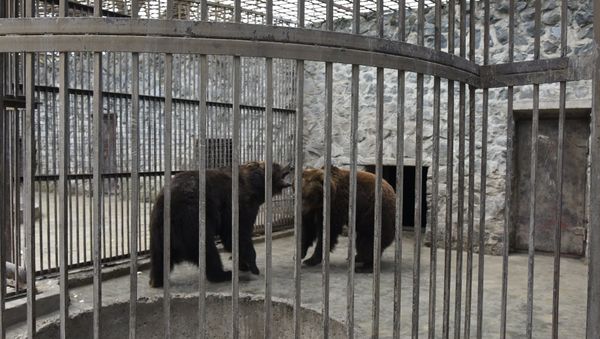 Зоопарк в детском парк Симферополя