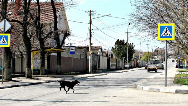 Пешеходный переход на ул. Леси Украинки в Симферополе