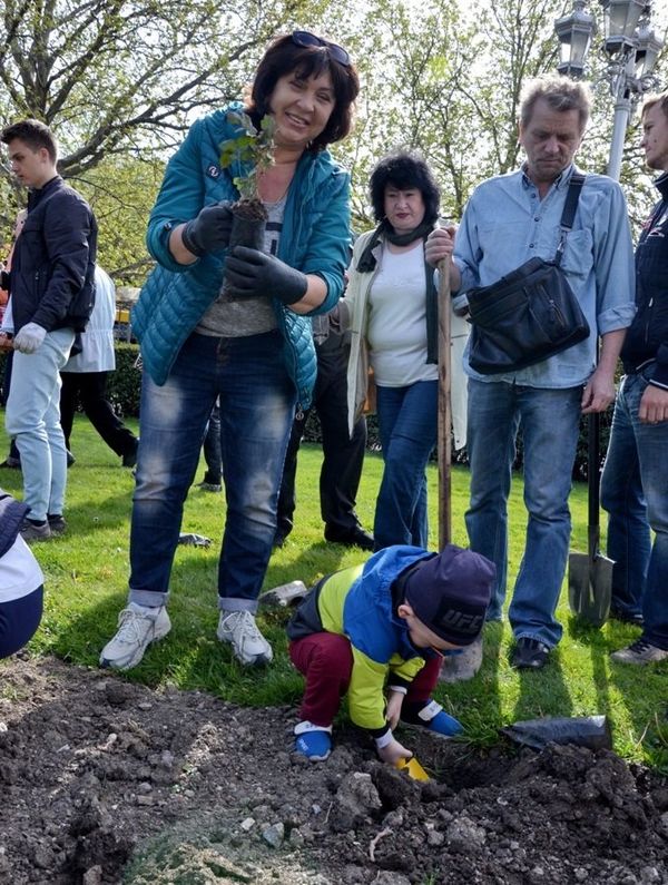 В Ялте высадили 1100 кустов роз и 100 кустов можжевельника