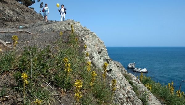 Весна в Крыму