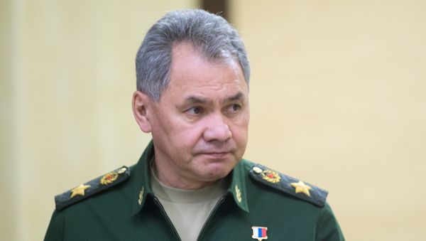 Министр обороны РФ Сергей Шойгу