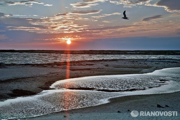 Орнитологический заповедник Лебяжьи острова в Крыму Орнитологический заповедник Лебяжьи острова в Крыму