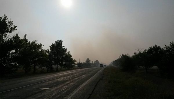 В крымском Раздолье ночью горел мусорный полигон