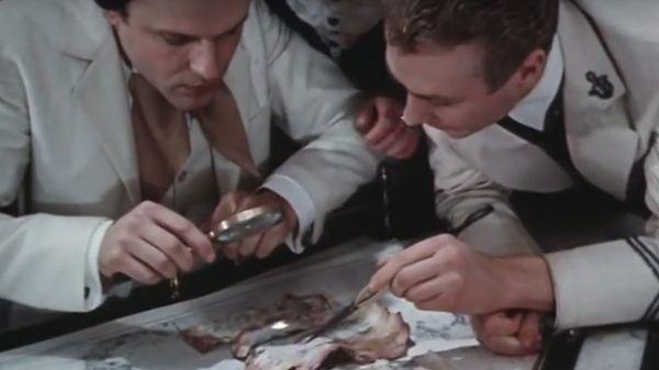 Кадр из художественного фильма В поисках капитана Гранта