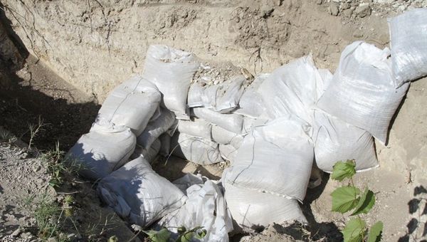 В виноградниках в Севастополе обезвредили немецкую авиабомбу