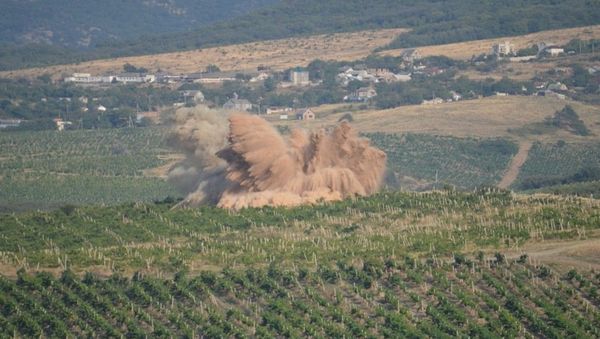 В виноградниках в Севастополе обезвредили немецкую авиабомбу