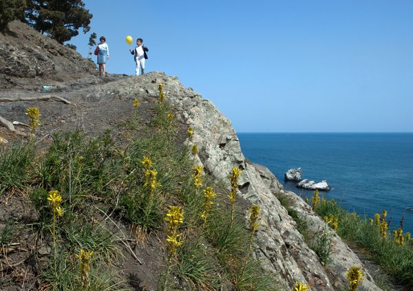 Отдыхающие гуляют по берегу Черного моря на мысе Плака в поселке Утес