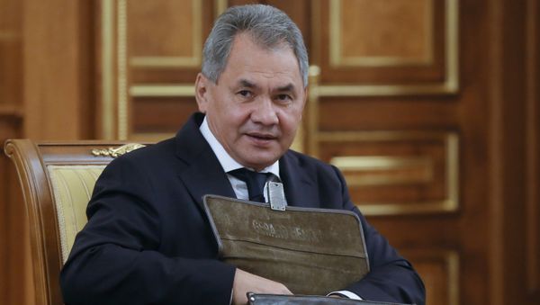 Министр обороны РФ Сергей Шойгу