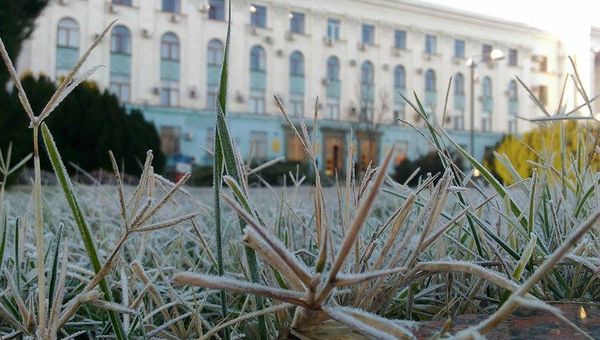 Заморозки в Крыму