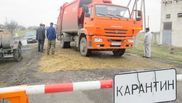 Мероприятия по ликвидации вспышки вируса африканской чумы свиней в Ленинском районе