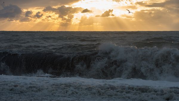 Черное море в Сочи