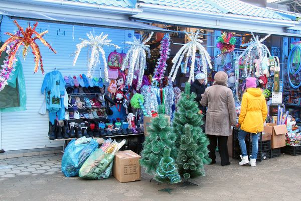 Продажа елок в Севастополе