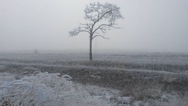 Туман в степном Крыму