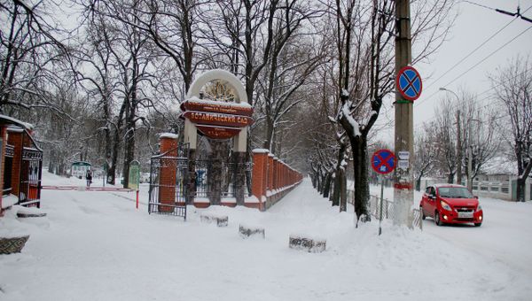 Зима в Симферополе, Ботанический сад КФУ Зима в Симферополе, Ботанический сад КФУ