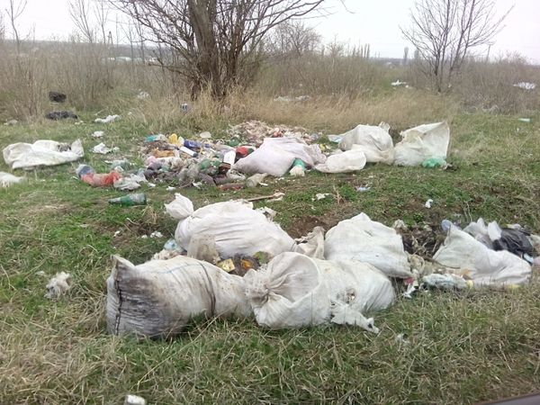 Свалка в с. Журавки Кировского района