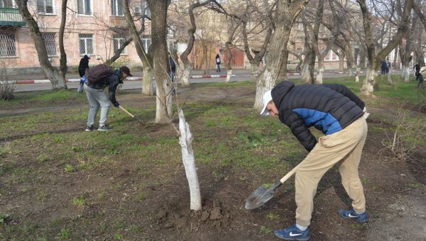 Активисты ОНФ приводят в порядок городскую зону отдыха в Феодосии