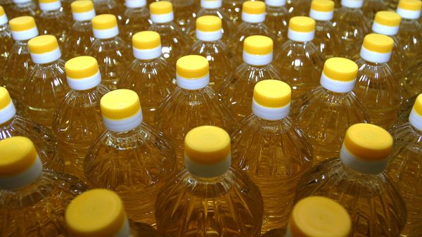 Продажа подсолнечного масла
