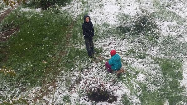 Снегопад в Симферополе. 23 апреля 2017