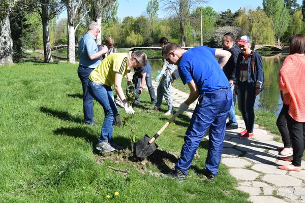 Высадка деревьев в Гагаринском парке Симферополя в рамках Всекрымского субботника