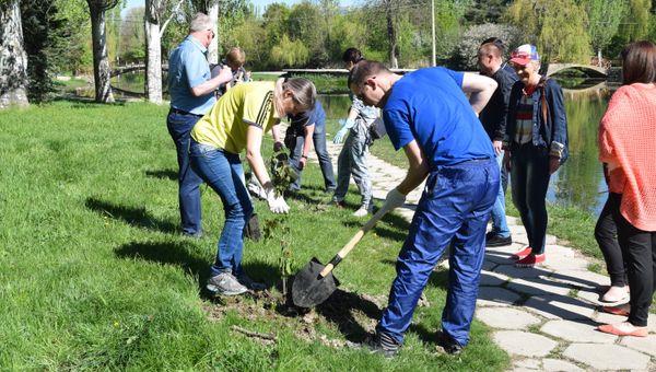 Высадка деревьев в Гагаринском парке Симферополя в рамках Всекрымского субботника