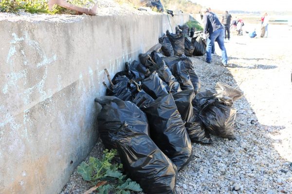 Уборка пляжа в Любимовке в рамках Всекрымского субботника