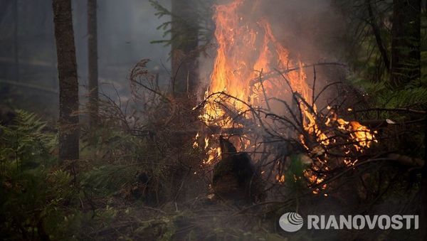 Пожары в Бурятии. Архивное фото