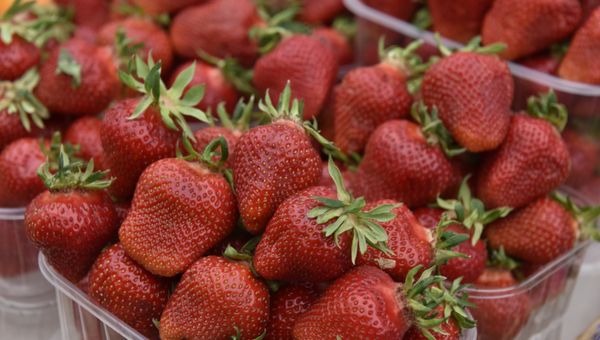 Продажа клубники на одном из рынков Симферополя