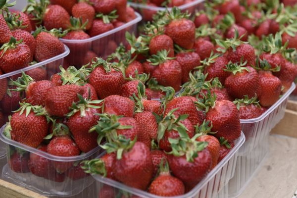 Продажа клубники на одном из рынков Симферополя