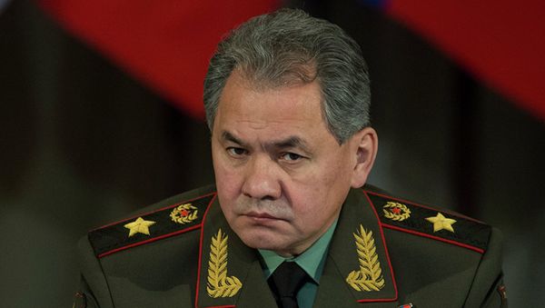 Министр обороны РФ Сергей Шойгу. Архивное фото Министр обороны РФ Сергей Шойгу. Архивное фото