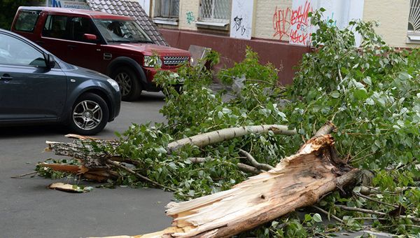 Последствия урагана в Москве