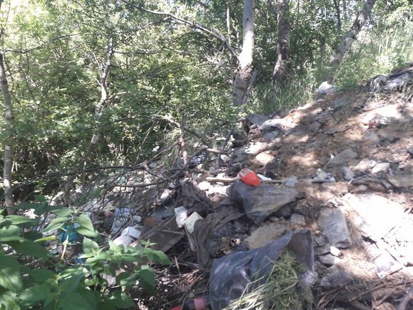 Активисты ОНФ ликвидировали свалку на лесном участке в районе пос. Линейное (Ялта) Активисты ОНФ ликвидировали свалку на лесном участке в районе пос. Линейное (Ялта)