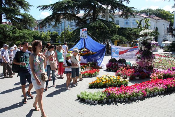  Праздничное мероприятие в Севастополе, посвященное Дню России. 2017 год